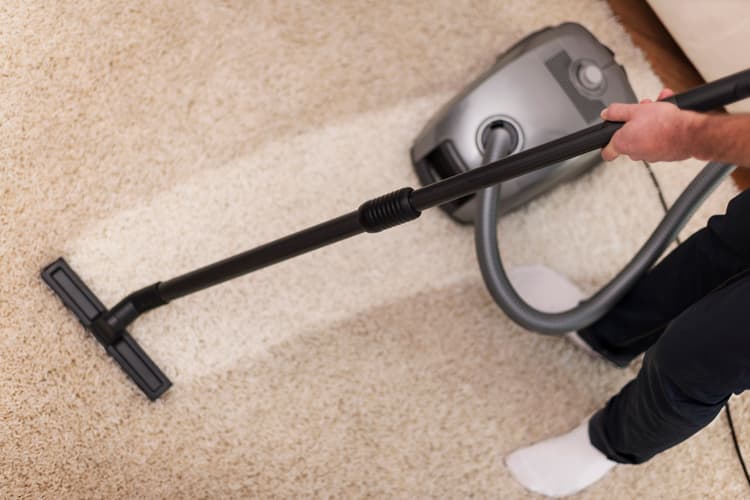 How Often Should You Professionally Clean Your Carpet in Australia? (2026 Guide)